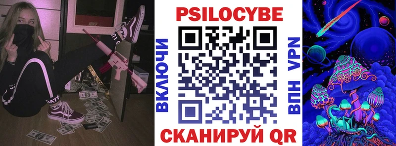 Псилоцибиновые грибы Psilocybe Купить Рошаль